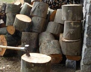 Taglio_della_legna_MABA85_DWN-1